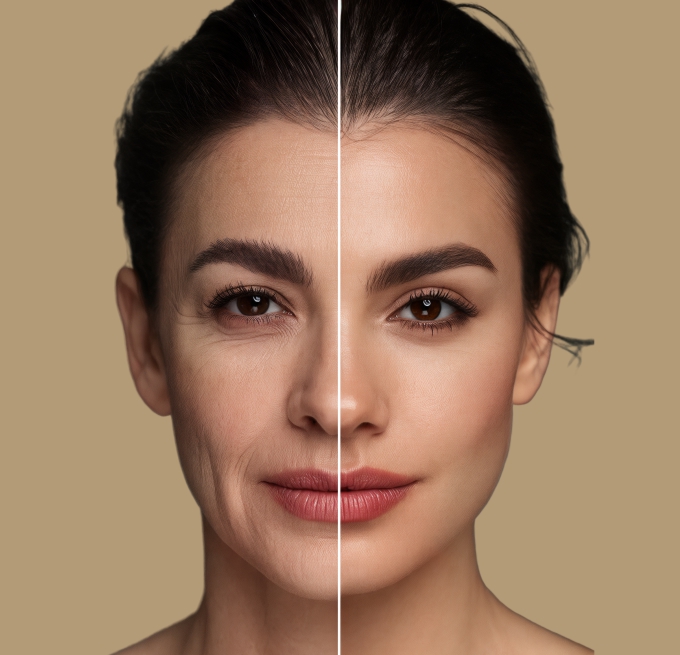 Regeneratia Image